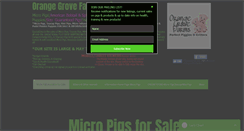 Desktop Screenshot of orangegrovefarmstinypigs.com