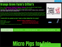 Tablet Screenshot of orangegrovefarmstinypigs.com